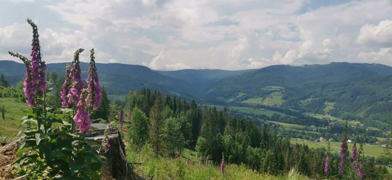 CHalupa Relax Dolní Lomná Exteriér fotografie
